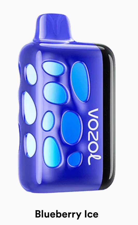 VOZOL RAVE 50K - Blueberry Ice