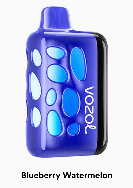 VOZOL RAVE 50K - Blueberry Watermelon
