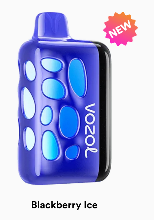 VOZOL RAVE 50K - Blackberry Ice
