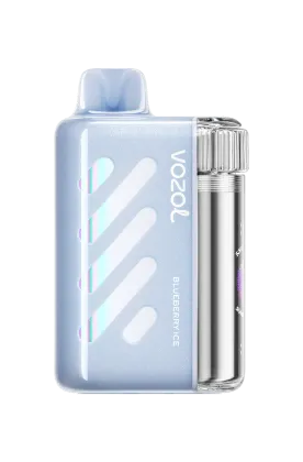 Vozol VISTA 40K - BLUEBERRY ICE