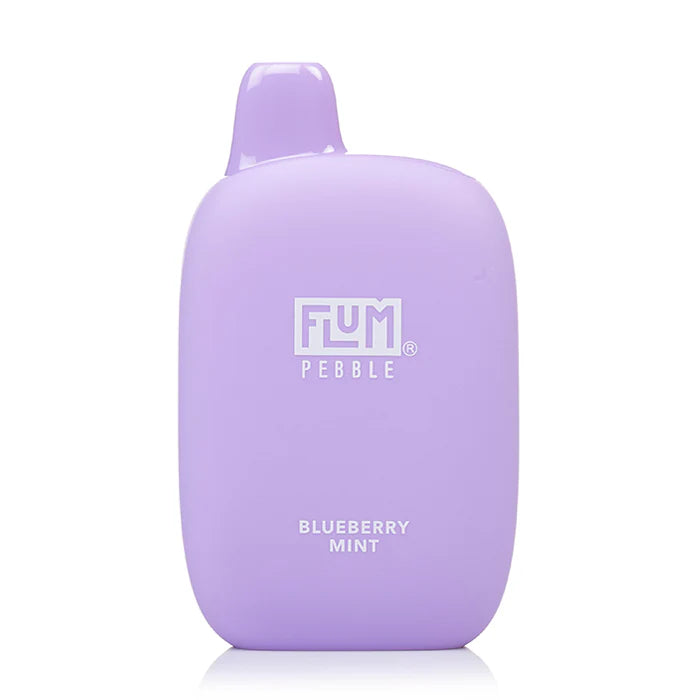 FLUM PEBBLE 6K PUFFS - BLUEBERRY MINT