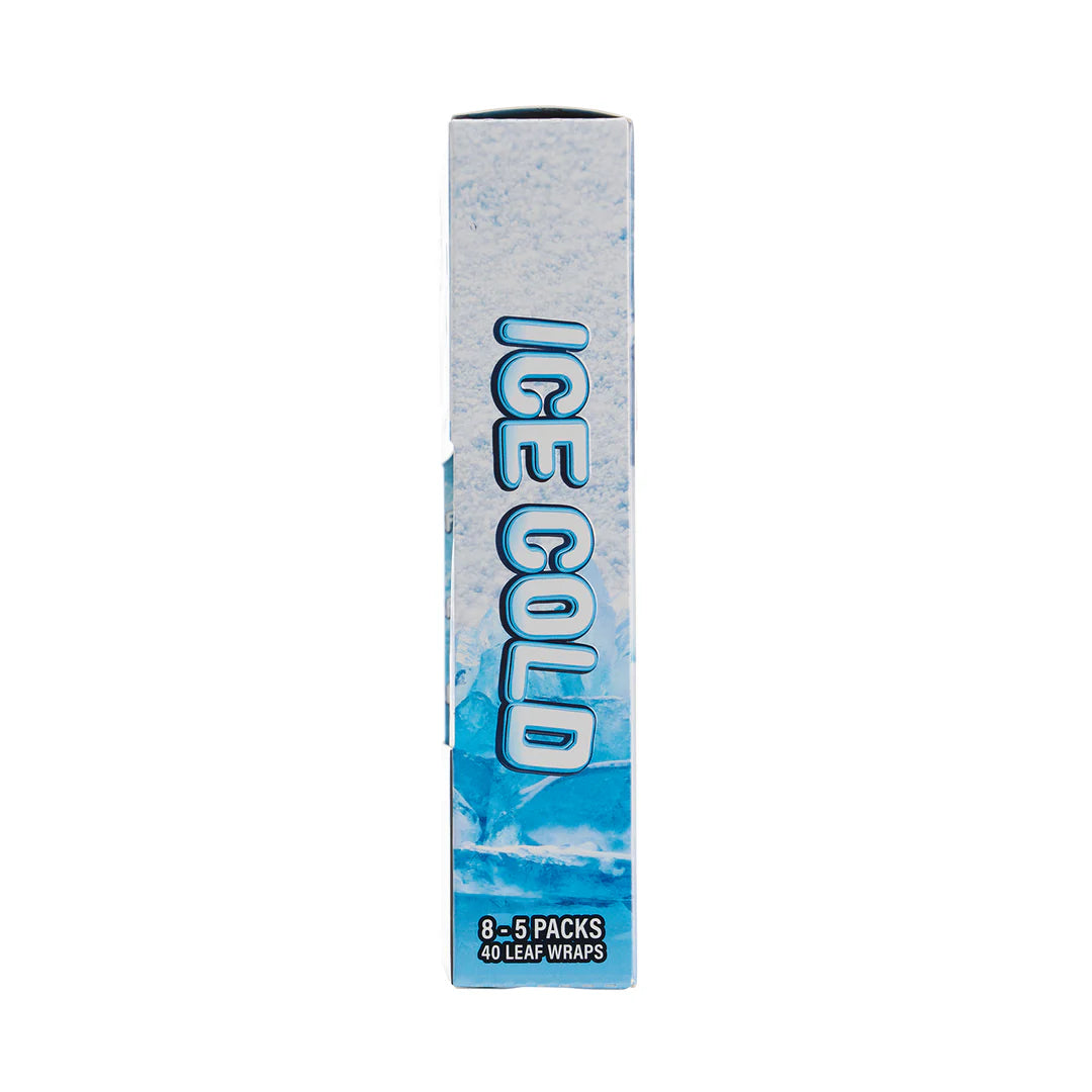 LooseLeaf 5-Pack Warps Ice Cold