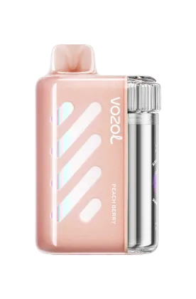 Vozol VISTA 40K - PEACH BERRY