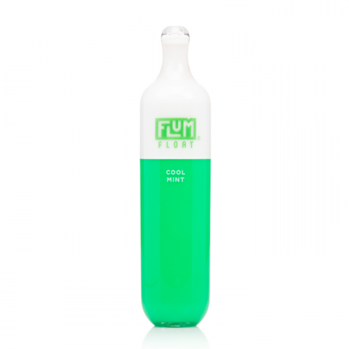 FLUM FLOAT 3K DISPOSABLE VAPE COOL MINT